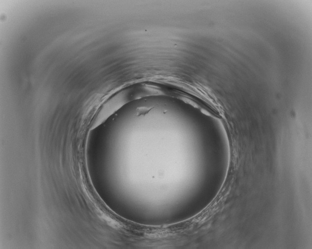 X0000073700097200608101824