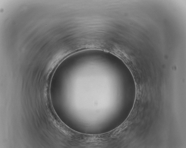 X0000073700098200608101824