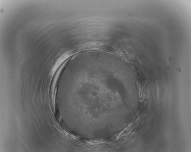 X0000073700099200608101824