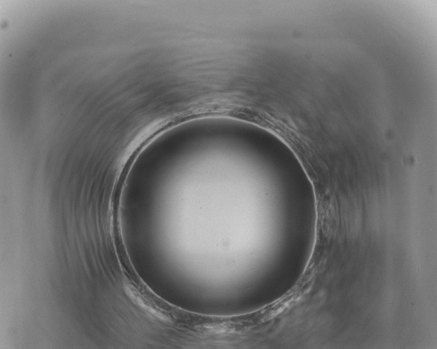 X0000073700100200608101824