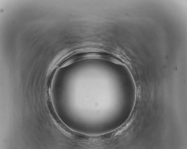 X0000073700101200608101824