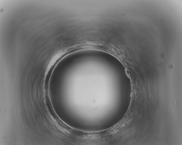 X0000073700102200608101824