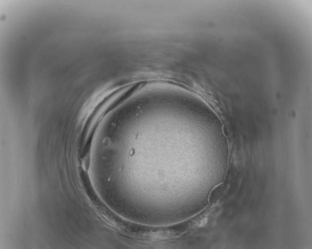 X0000073700103200608101824