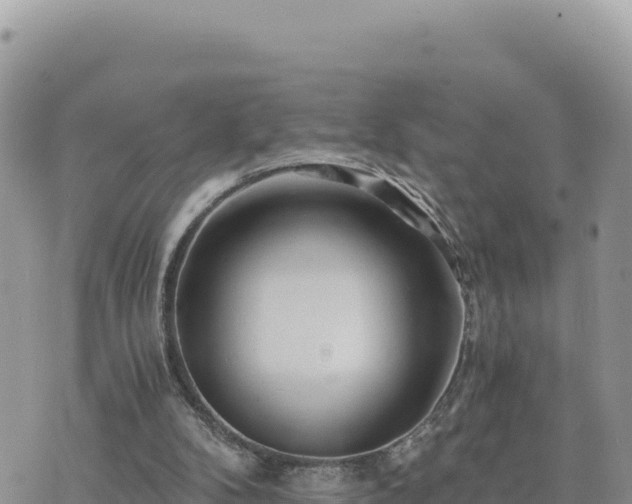 X0000073700104200608101824