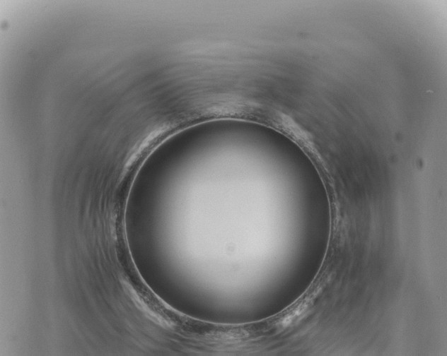 X0000073700106200608101824