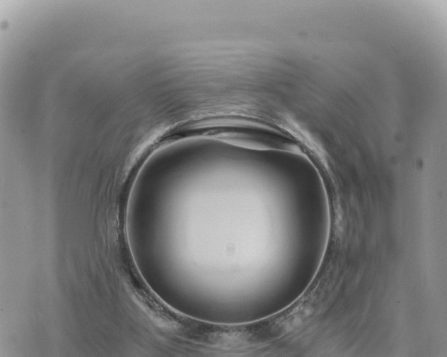 X0000073700107200608101823