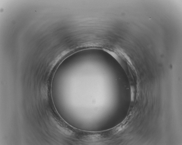 X0000073700108200608101823