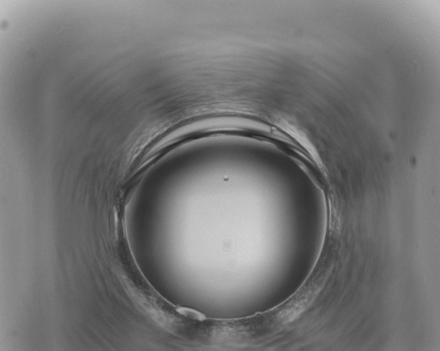 X0000073700109200608101823