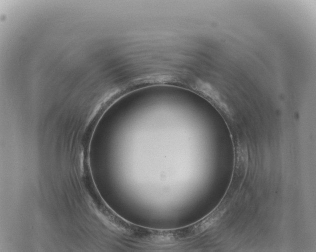 X0000073700110200608101823