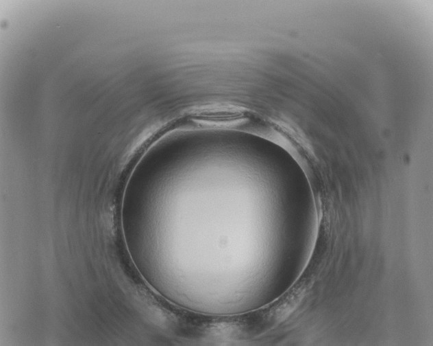 X0000073700111200608101823