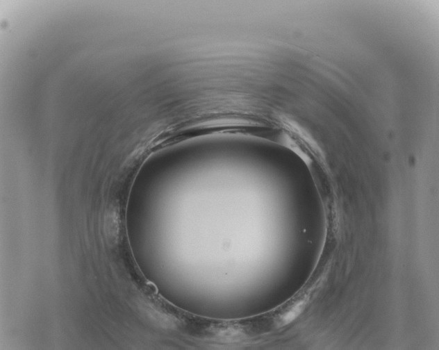 X0000073700113200608101823