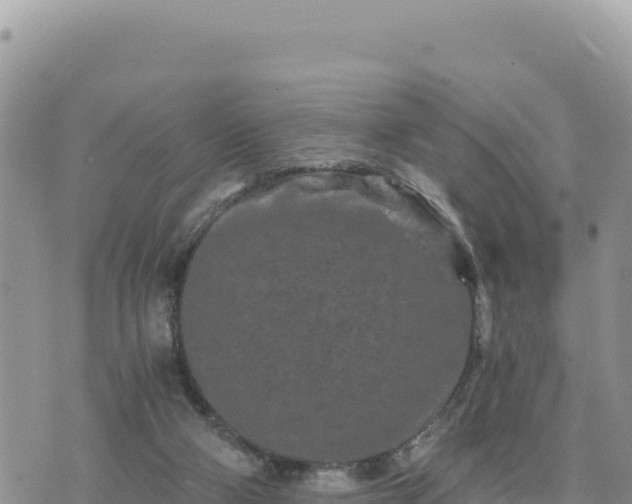 X0000073700114200608101823