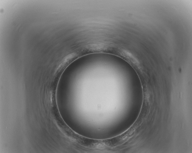 X0000073700115200608101823