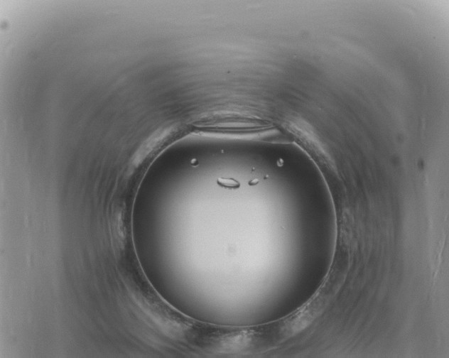 X0000073700116200608101823