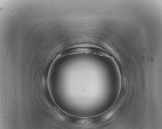 X0000073700117200608101823