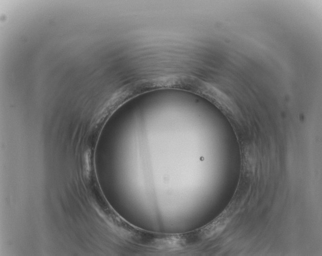 X0000073700118200608101823