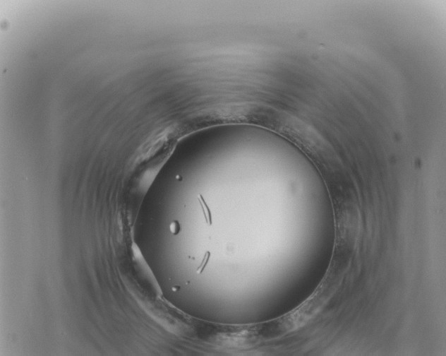 X0000073700120200608101823