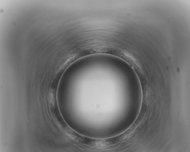 X0000073700121200608101823