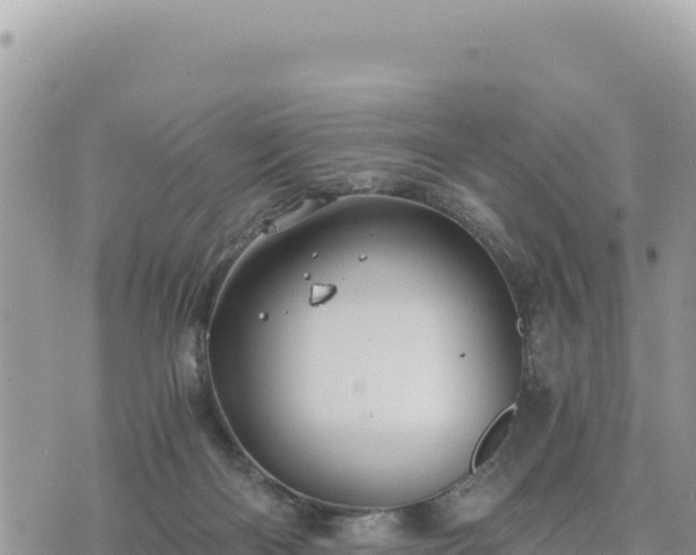 X0000073700122200608101823