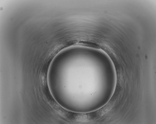 X0000073700123200608101823