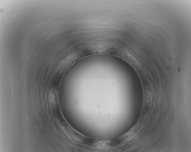 X0000073700126200608101823