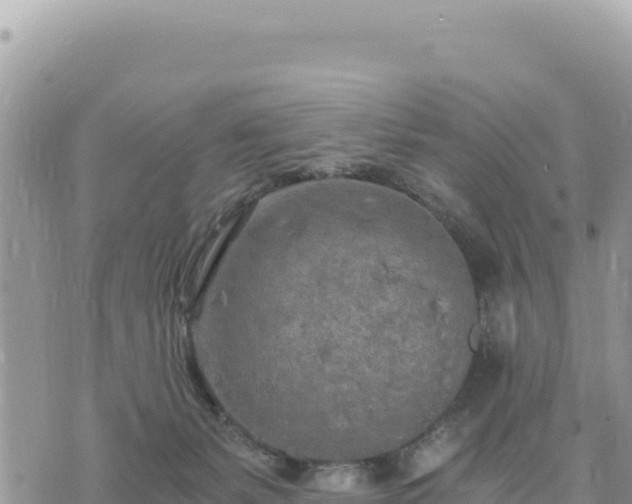 X0000073700127200608101823