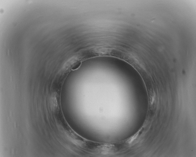 X0000073700128200608101823