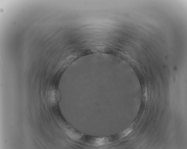 X0000073700130200608101823