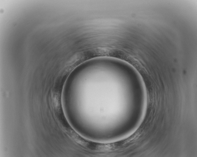 X0000073700131200608101823