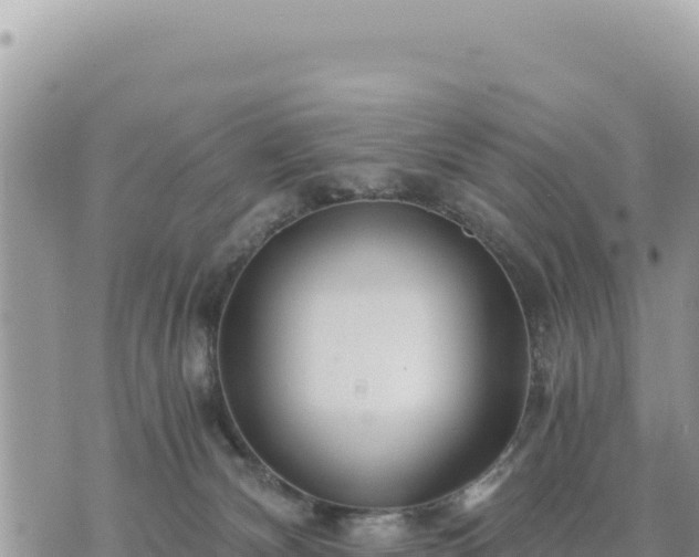 X0000073700132200608101823