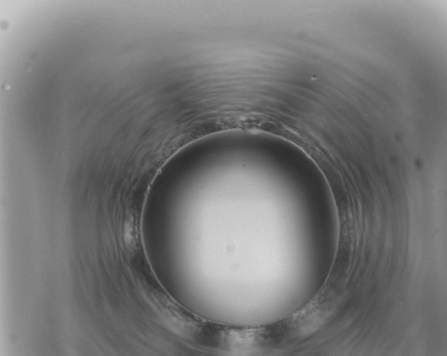 X0000073700134200608101823