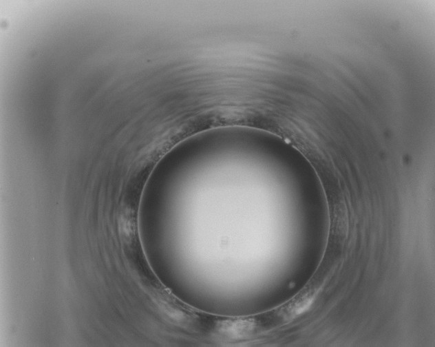 X0000073700135200608101823