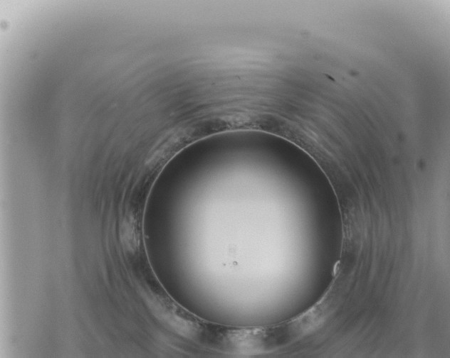 X0000073700136200608101823