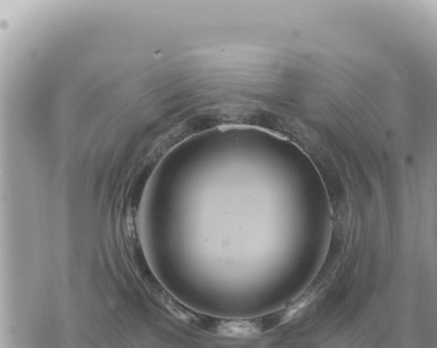 X0000073700137200608101823