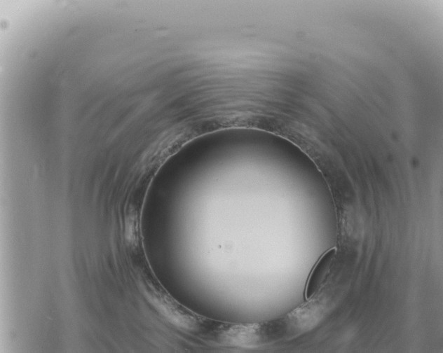 X0000073700138200608101823