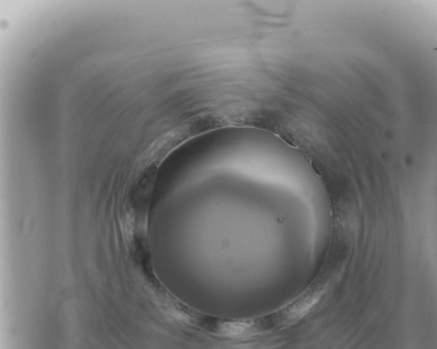 X0000073700139200608101823