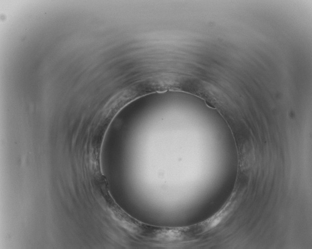 X0000073700140200608101823