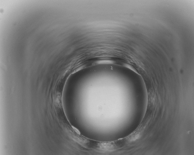 X0000073700141200608101823