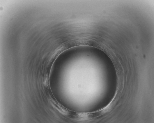 X0000073700144200608101823