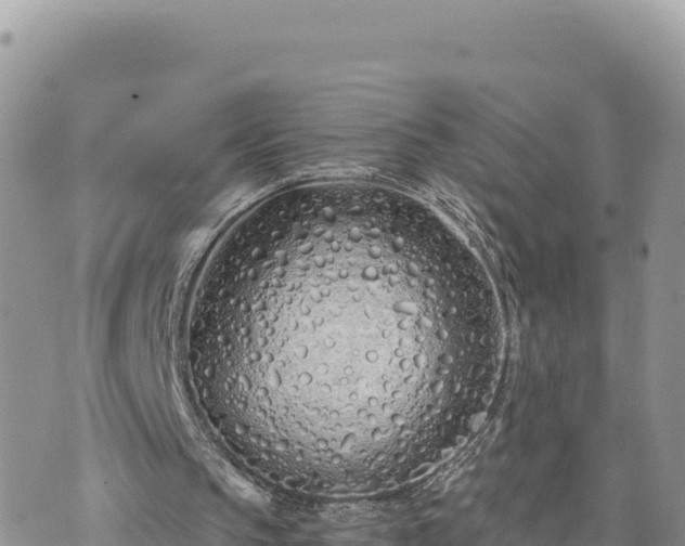 X0000073700145200608101822