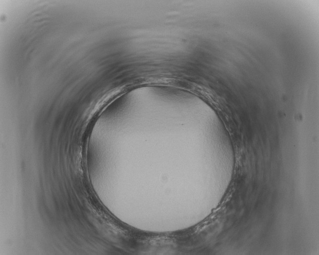 X0000073700146200608101822