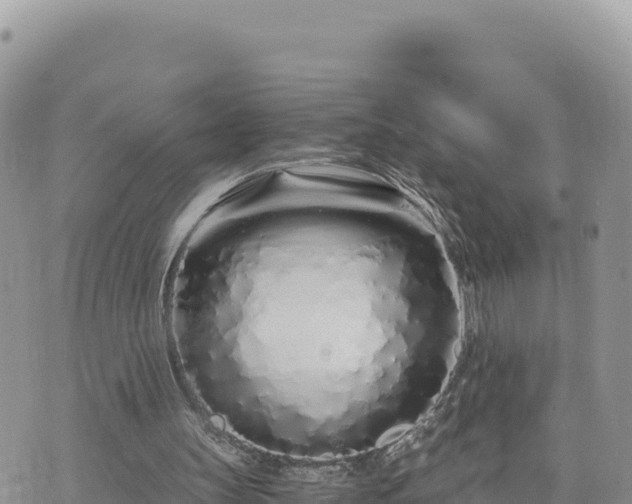 X0000073700147200608101822