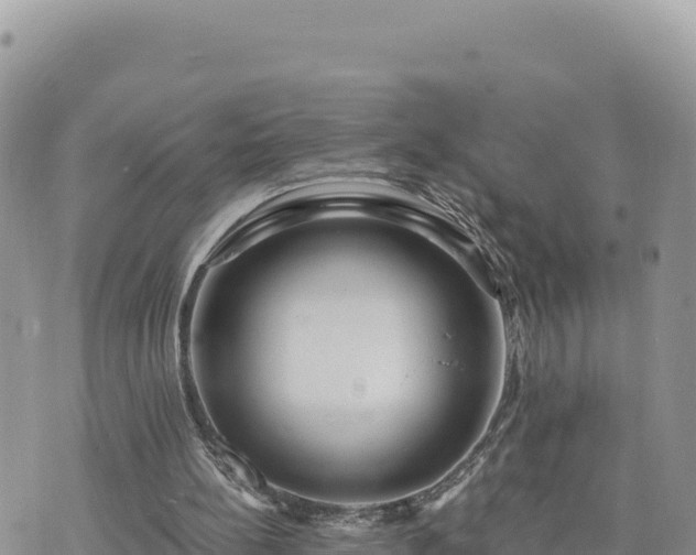 X0000073700148200608101822