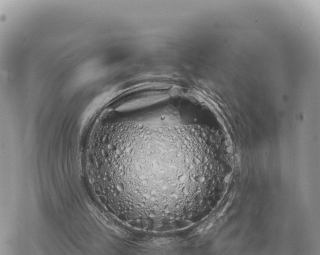 X0000073700149200608101822