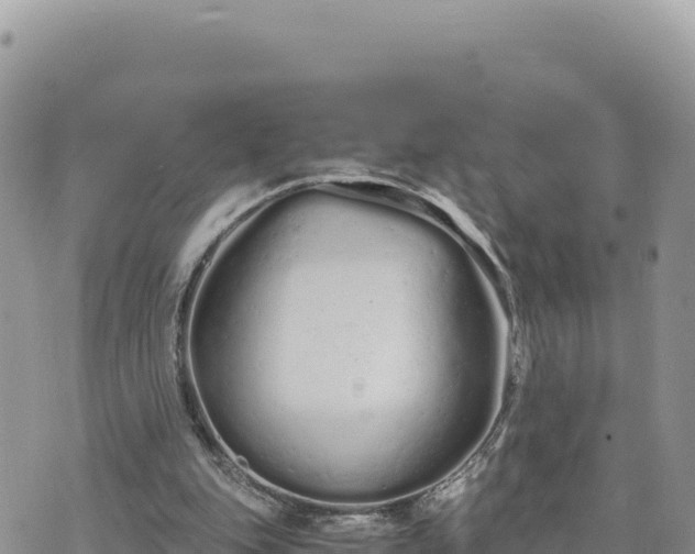 X0000073700151200608101822