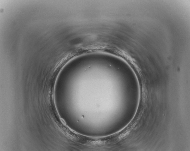 X0000073700153200608101822