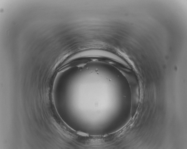 X0000073700154200608101822