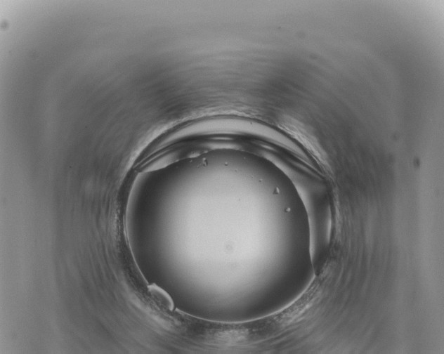 X0000073700156200608101822