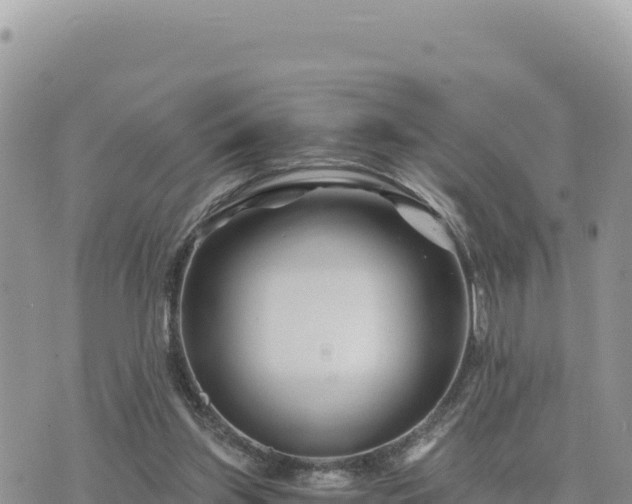 X0000073700157200608101822