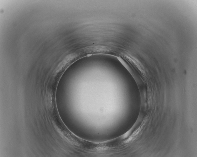 X0000073700158200608101822